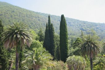 Впервые в Абхазии: Гагра и экоферма