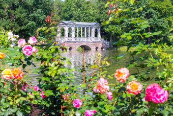 Изысканный Екатерининский дворец в Царском Селе (Янтарная комната)