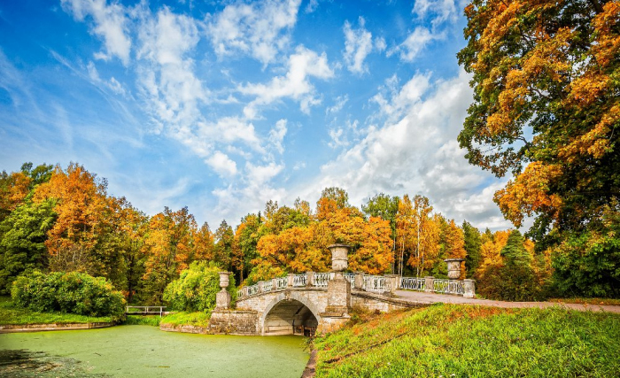 Автобусная экскурсия в Павловск. Дворец и парк