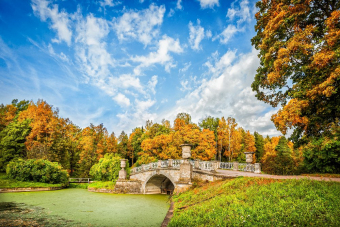 Автобусная экскурсия в Павловск. Дворец и парк