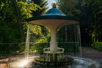 В Петергоф по воде: «Метеор» + фонтаны в мини-группе