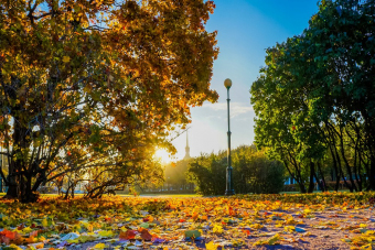 Самостоятельная квест-прогулка 