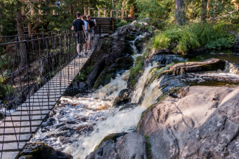 Карельские пейзажи на ретропоезде 2. Лайт (на Ласточке из Петербурга)