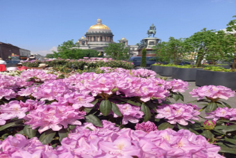 Автоэкскурсия: самое главное в Петербурге и Эрмитаже