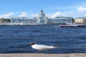 От Спаса на крови до Исаакиевского собора: ожерелье храмов и дворцов