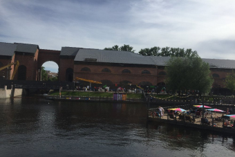 Вокруг да около Новой Голландии