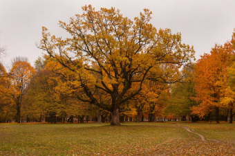 Экскурсия «Дорога жизни»