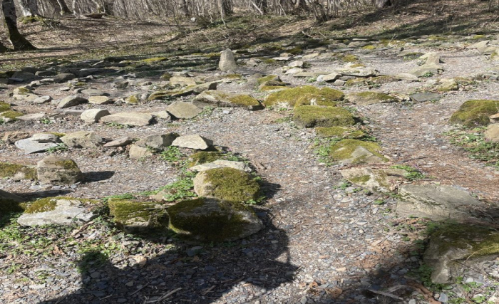 Экскурсия Тайны Краснополянских Дольменов