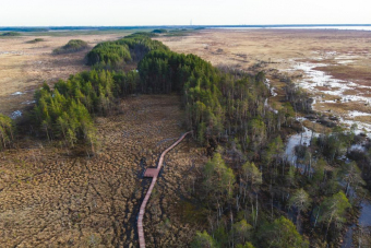 Природная экскурсия по экотропе Сестрорецкое болото