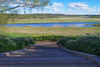 Два дня в Пушкинских Горах