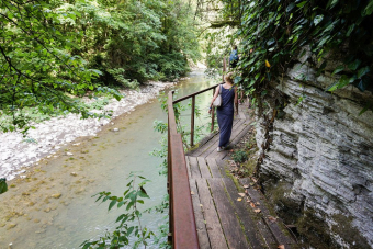 Загадки древнего леса. Ущелье реки Хоста