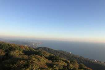 Обзорная по Сочи: история и природа