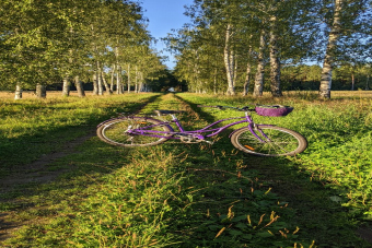 Семейная прогулка по Павловскому парку