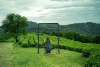 Дикая природа Сочи, с комфортом