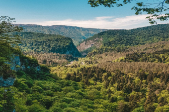 Золотое кольцо Абхазии