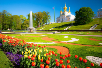 Мегатур на метеоре/катамаране в Петергоф и Кронштадт по воде