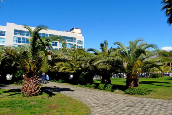 Аудиоэкскурсия по улице Навагинской в Сочи