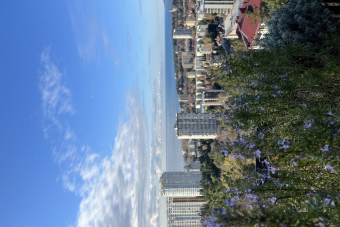 Нескучный Сочи — семейный авто-пеший тур с гидом