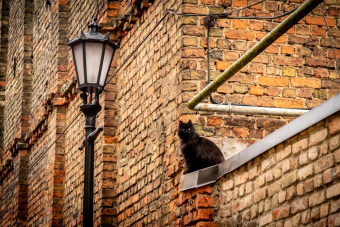 Булгаковская Москва: мистика и реальность — групповая экскурсия