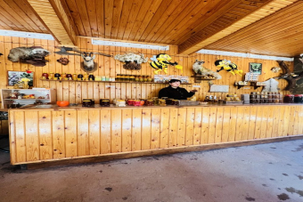 Попробовать Сочи на вкус (все включено)