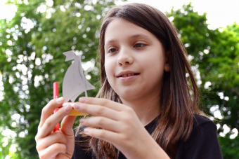 Санкт-Петербург глазами юных исследователей: «Шаг за шагом по истории»