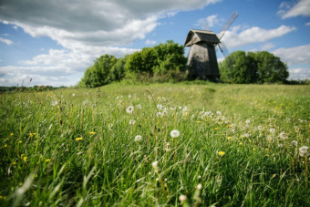 Пушкинские горы за 2 дня, экскурсия для школьных групп
