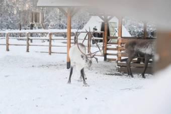 Сила природы Карелии. Долина водопадов