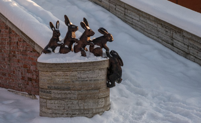 Экскурсия-квест с зайцем по Петропавловской крепости (в телефоне)